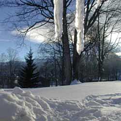 Der Garten tief verschneit Der Garten tief verschneit
